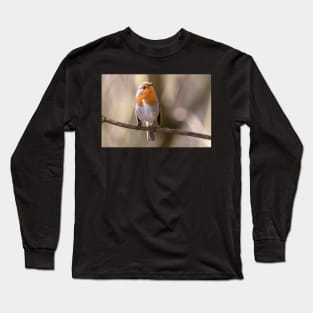 Robin gaze Long Sleeve T-Shirt